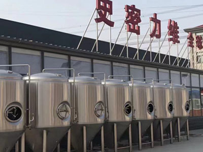 林甸精酿啤酒设备厂—如何判断精酿啤酒设备的密封件需要更换？